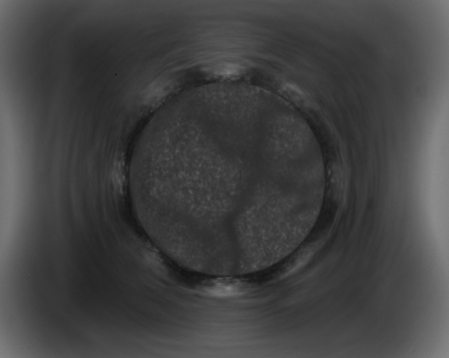 X0000083570612200703021749