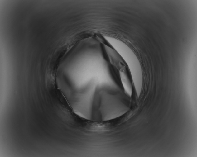 X0000083570613200703021749