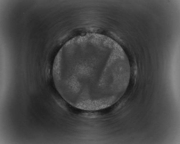 X0000083570615200703021748