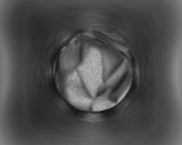 X0000083570617200703021748
