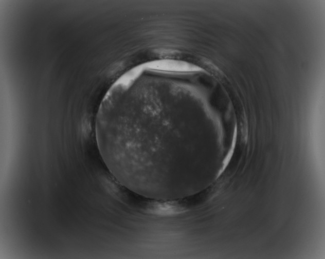 X0000083570618200703021748