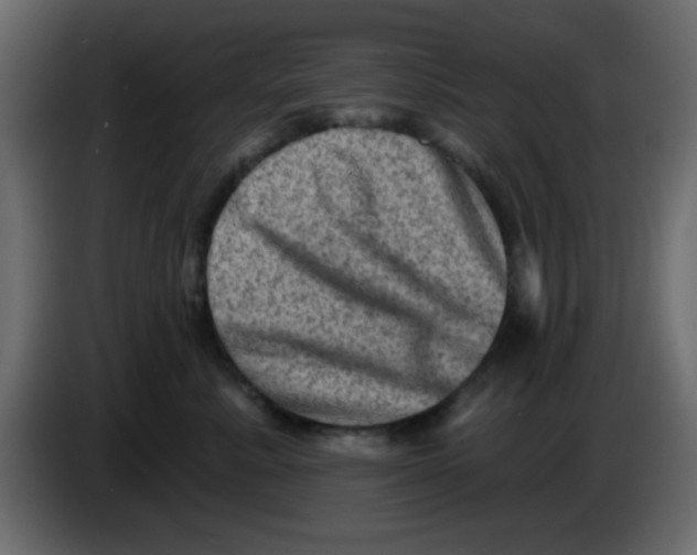 X0000083570619200703021748