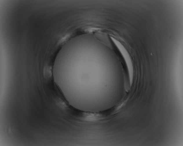 X0000083570621200703021748