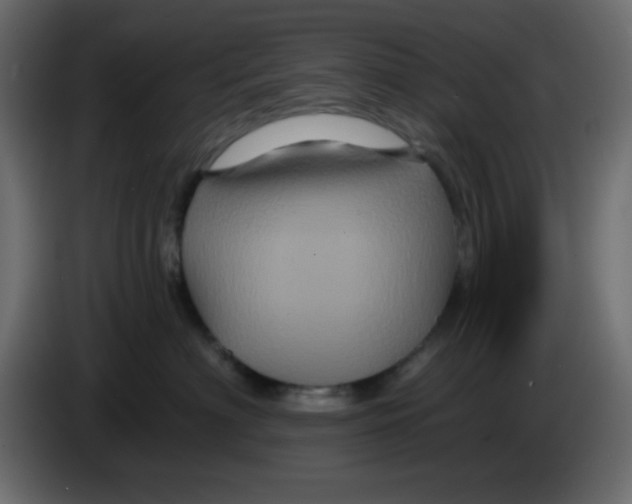 X0000083570622200703021748