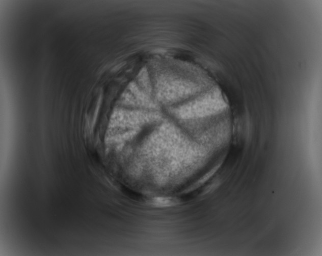 X0000083570623200703021748