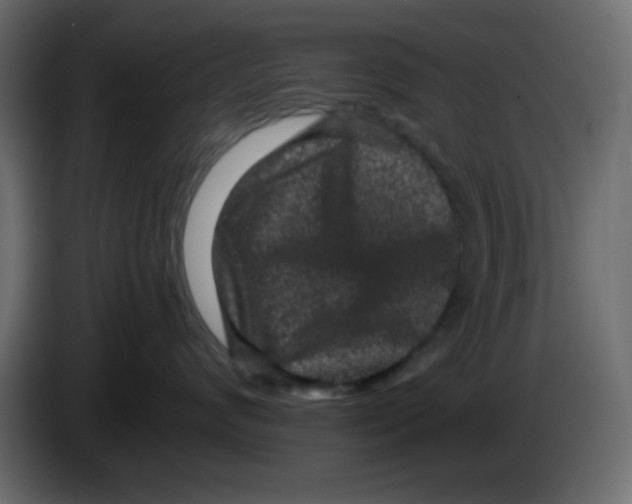 X0000083570624200703021748