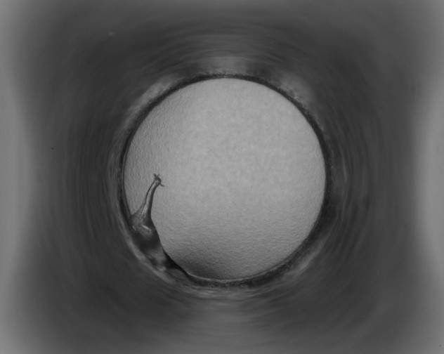 X0000083570625200703021747
