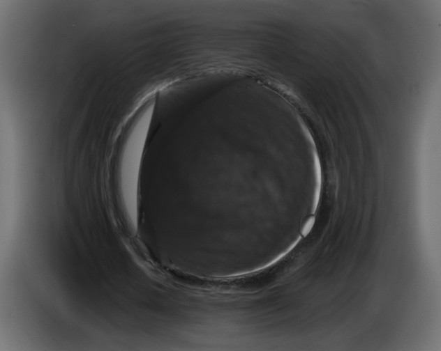 X0000083570626200703021748
