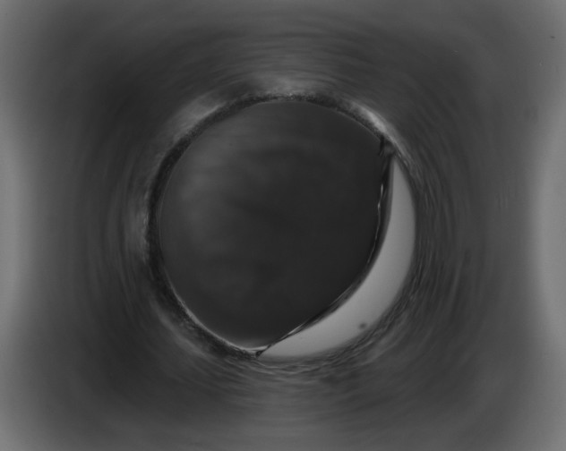 X0000083570627200703021748