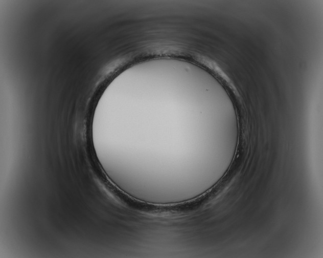 X0000083570629200703021748