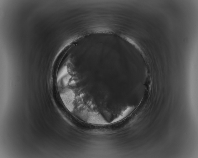 X0000083570630200703021748