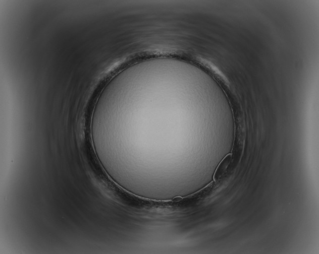 X0000083570631200703021748