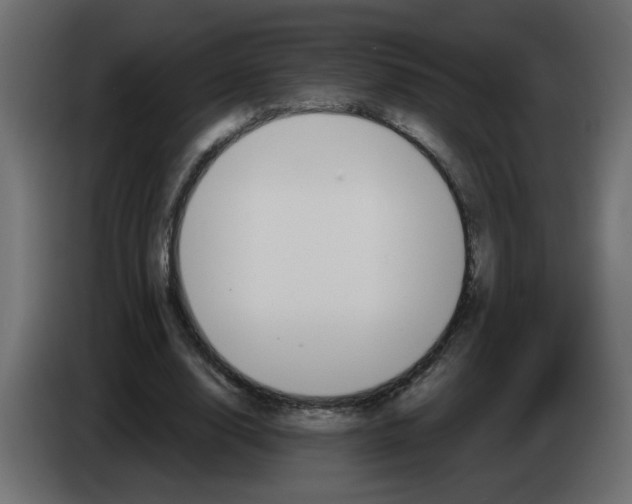 X0000083570632200703021748