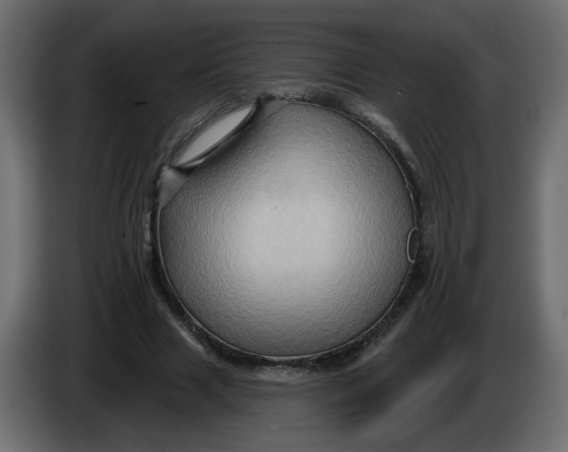 X0000083570633200703021748