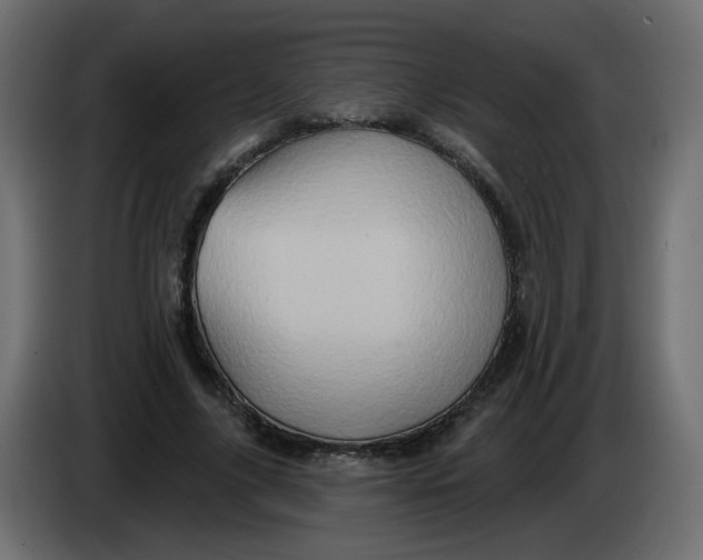 X0000083570635200703021748