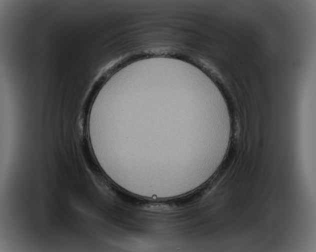X0000083570636200703021748