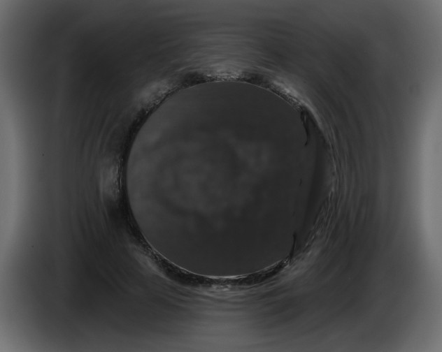 X0000083570641200703021748