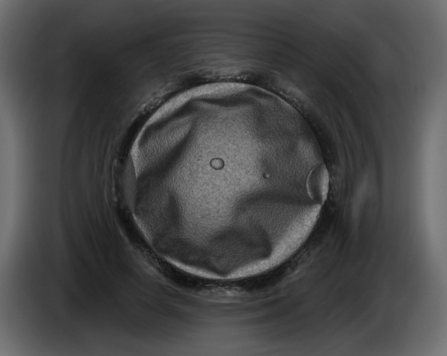 X0000083570642200703021748