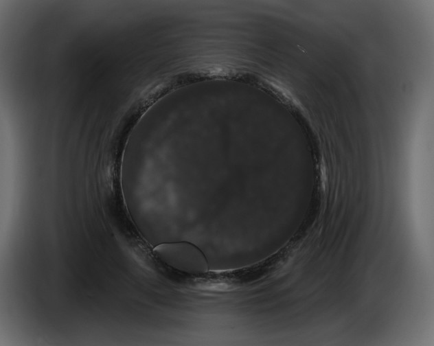 X0000083570643200703021748