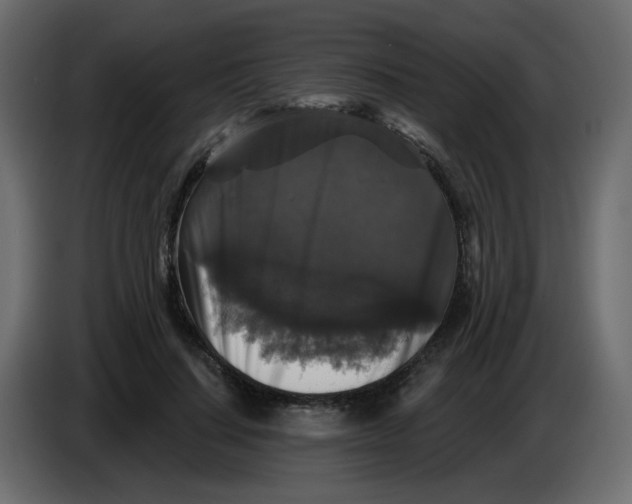 X0000083570644200703021748