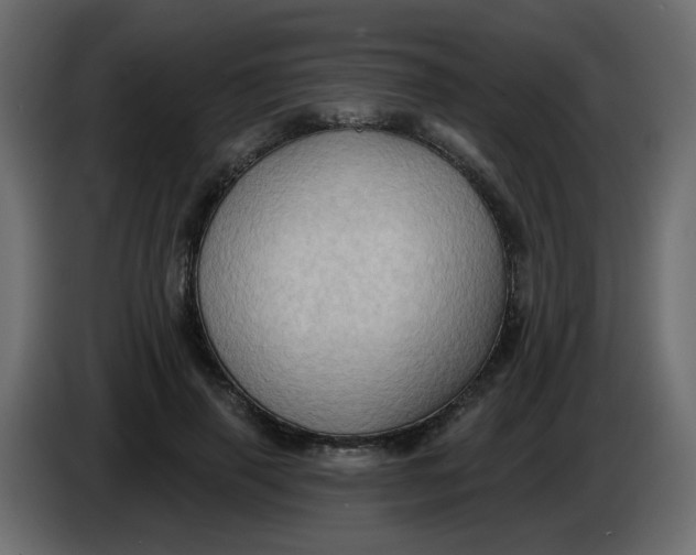 X0000083570645200703021748