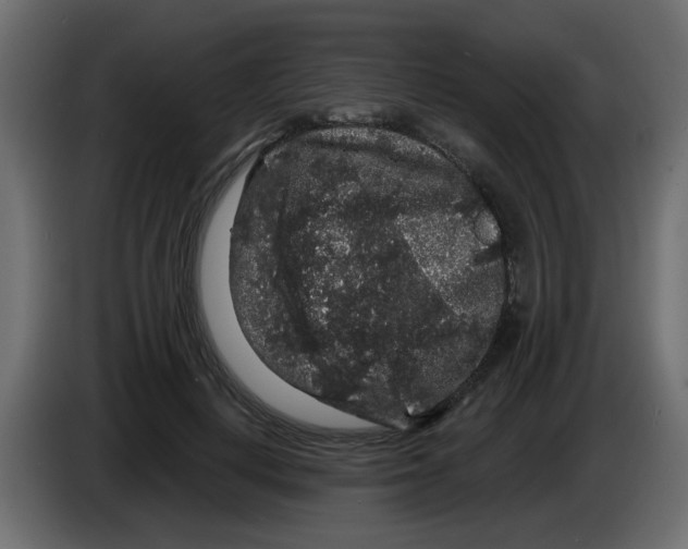 X0000083570648200703021748
