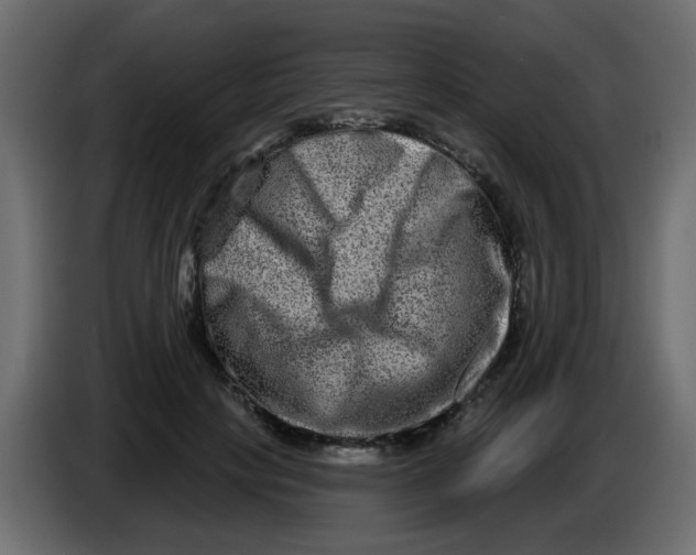 X0000083570649200703021748