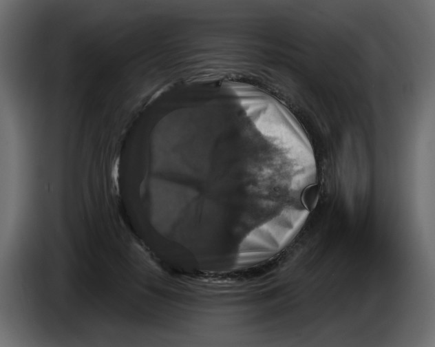 X0000083570650200703021748