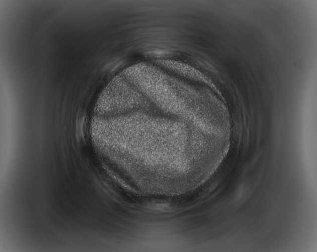 X0000083570651200703021748