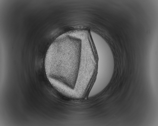 X0000083570652200703021748