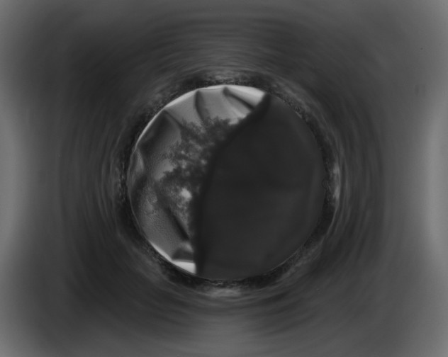 X0000083570653200703021748