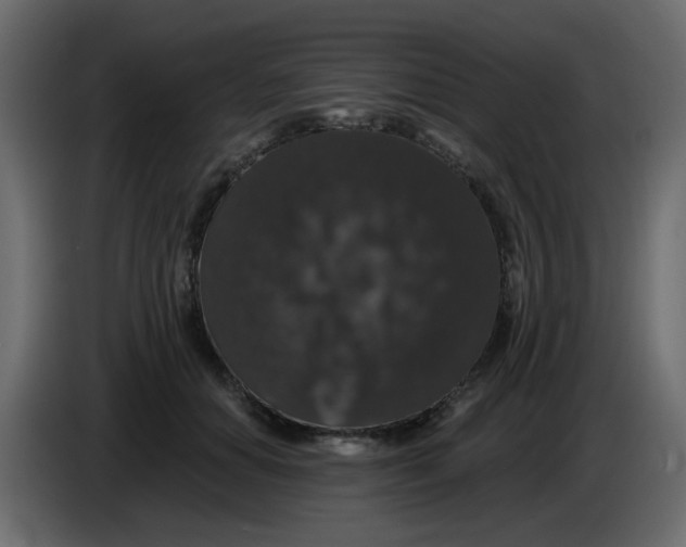 X0000083570654200703021748