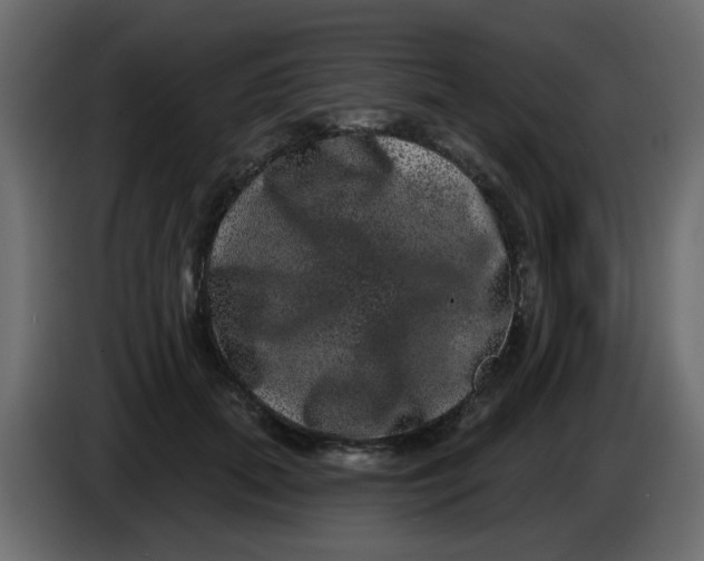 X0000083570655200703021748