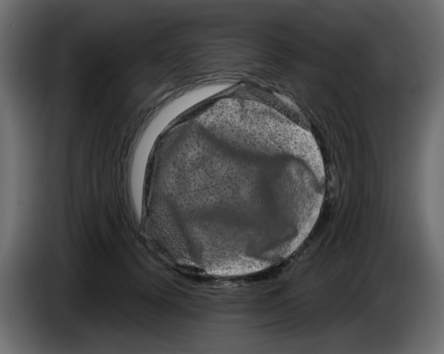 X0000083570656200703021748