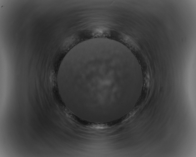 X0000083570659200703021748