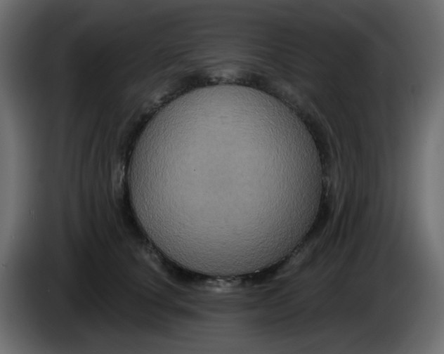 X0000083570660200703021748