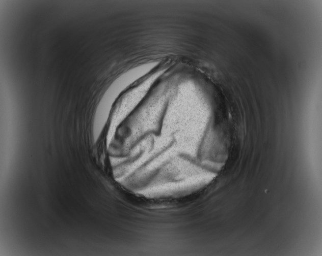 X0000083570662200703021748