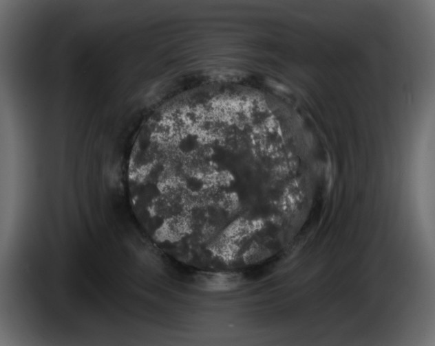 X0000083570663200703021748