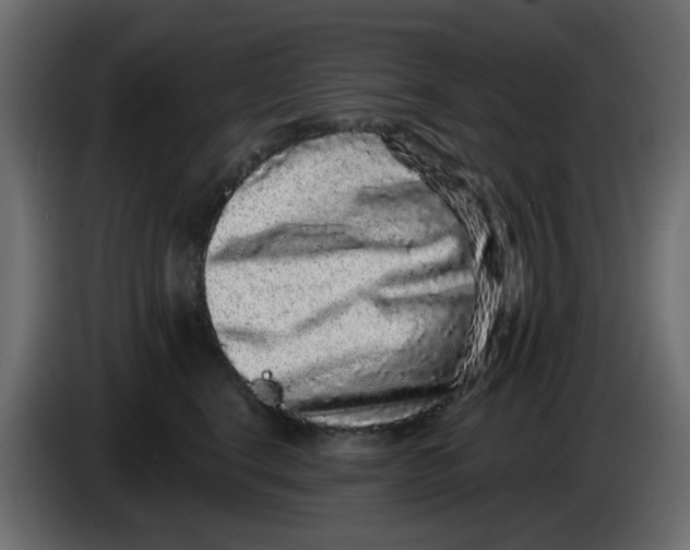 X0000083570664200703021748