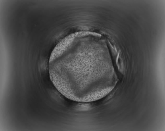 X0000083570665200703021748