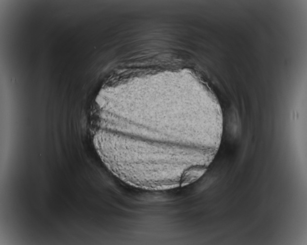 X0000083570668200703021748