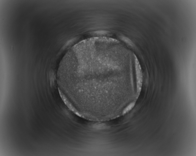 X0000083570669200703021748