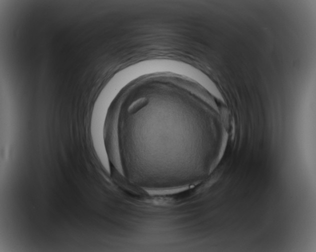 X0000083570670200703021748