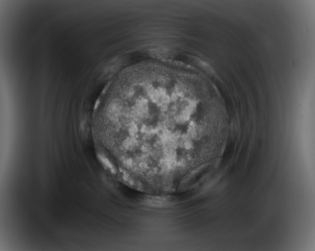 X0000083570671200703021748