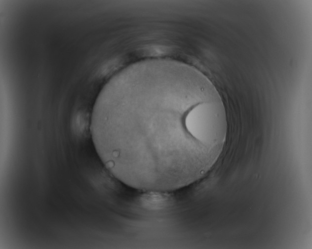 X0000083570672200703021748
