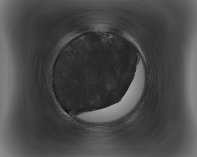 X0000083570673200703021747