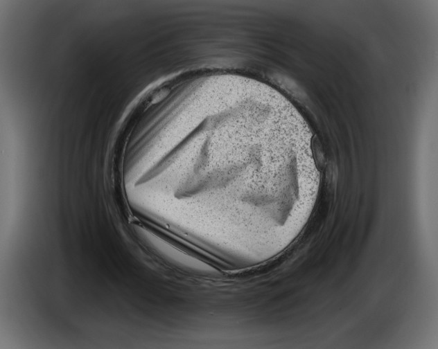 X0000083570676200703021747