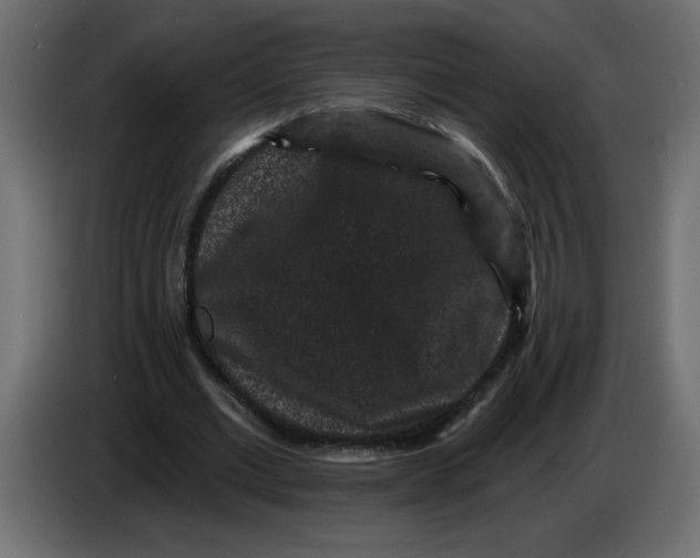 X0000083570677200703021747