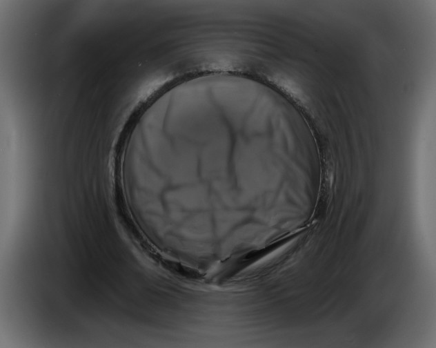 X0000083570678200703021747