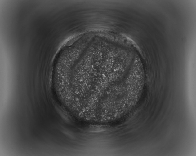 X0000083570679200703021747